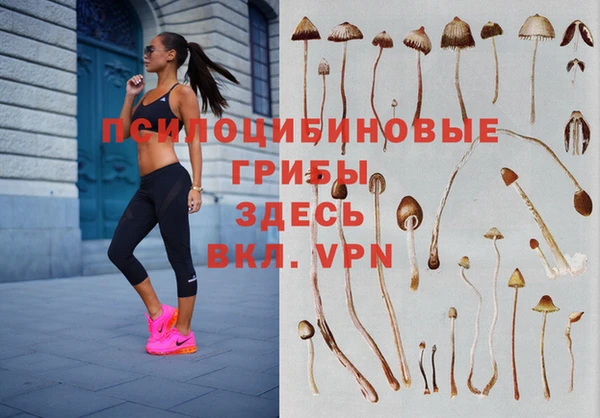 гашиш Володарск