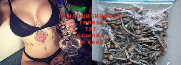 спиды Волоколамск