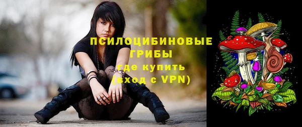 спиды Волоколамск
