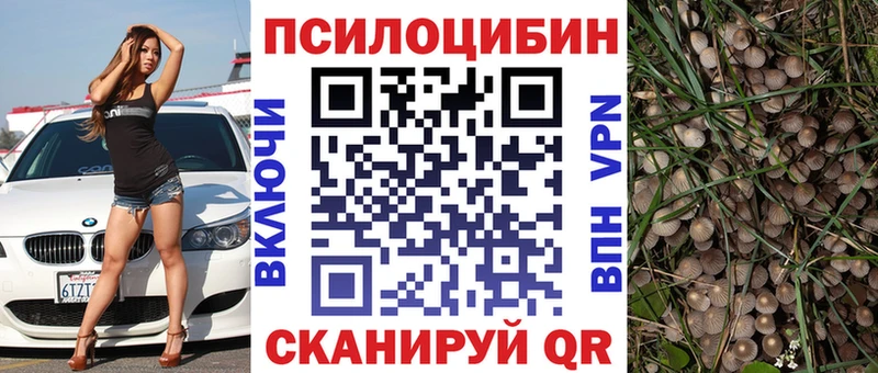 Купить закладки  Калачинск  Псилоцибиновые грибы прущие грибы 